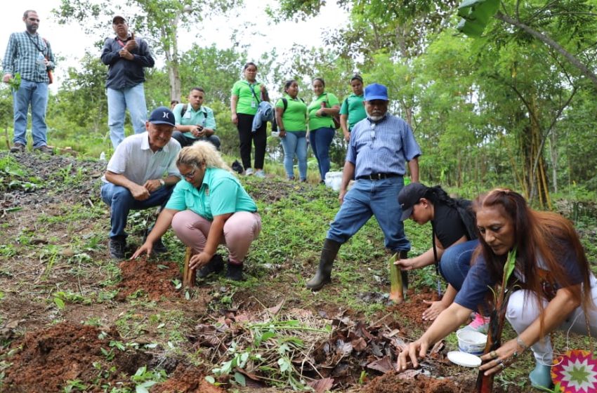  Alcaldía de Panamá fomenta la formación en cultivos y protección de suelos