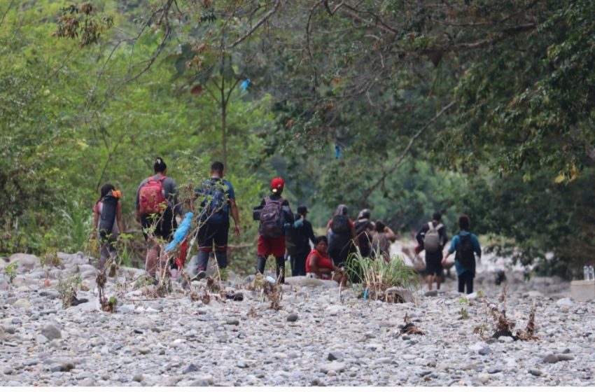  Más de 85 mil migrantes irregulares en tránsito han pasado por la selva del Darién en 2024