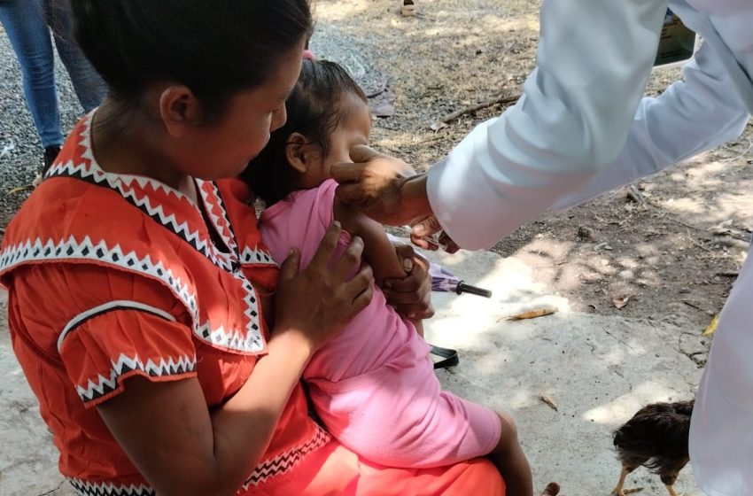  A buen ritmo avanza primera etapa de vacunación contra el Sarampión