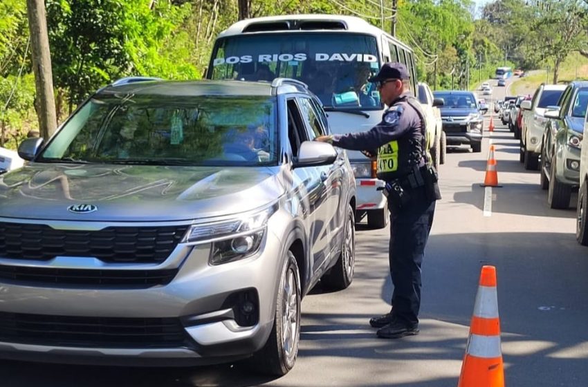  Más de 100 personas han muerto por accidentes de tránsito en lo que va del año, 42 por atropello