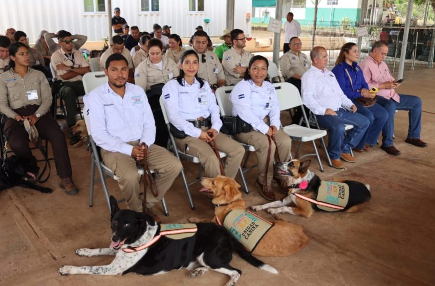  Panamá es sede de taller internacional para control del gusano barrenador con unidades caninas
