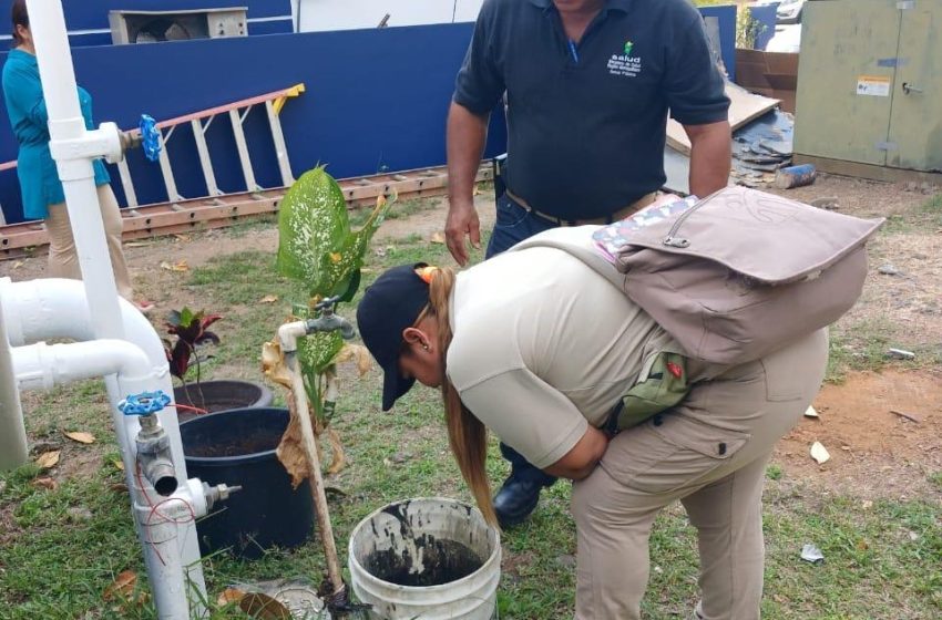  “Eliminando la chatarra se evita formar criaderos de mosquitos”, reiteran autoridades de Salud