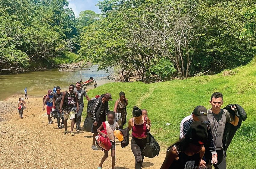  En 2024: Migración registra 146 mil 945 migrantes irregulares en tránsito por Panamá