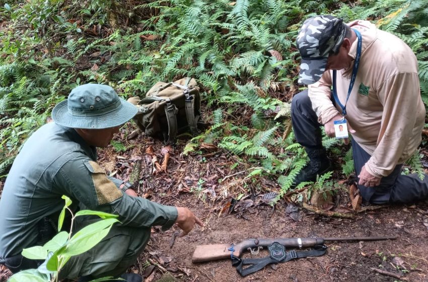  Ubican armas ilegales y rescatan a dos puercoespín en Panamá Oeste