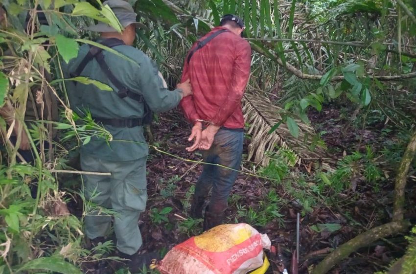  Hombre es aprehendido por cazar animales silvestres en área protegida en Panamá Oeste