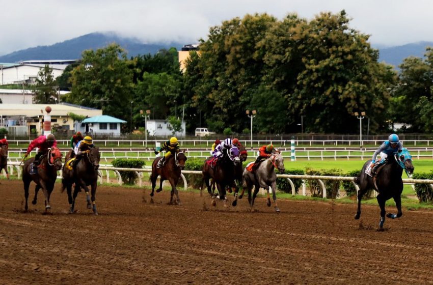  Nuevo Reglamento de Carreras de Caballo cumple con estándares internacionales