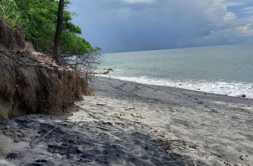  Estudio científico revela el impacto de la erosión costera en tres playas del Pacífico panameño