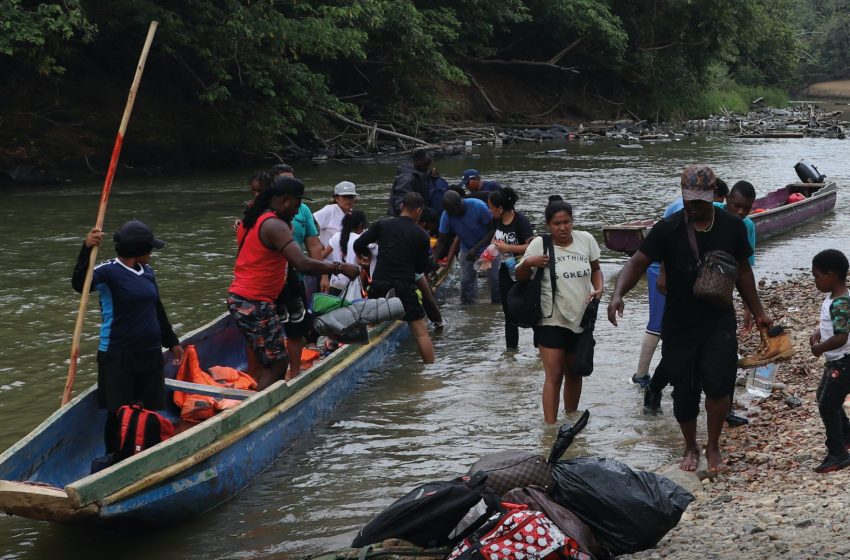  Más de 185 mil personas han transitado la selva del Darién en el 2024