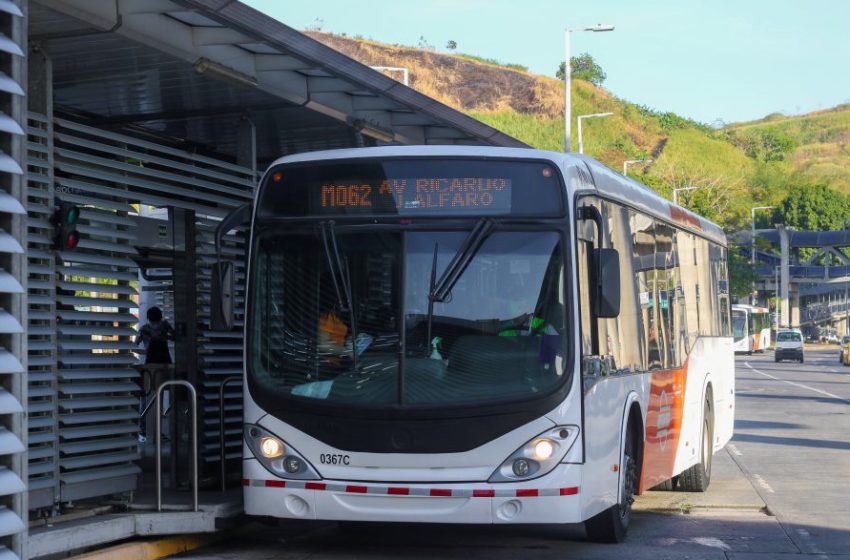  MiBus reincorporará 300 unidades para mejorar el sistema de transporte