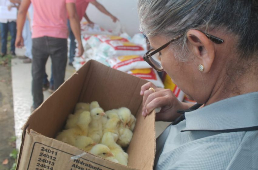  Estudiantes herreranos beneficiados con insumos para huertos