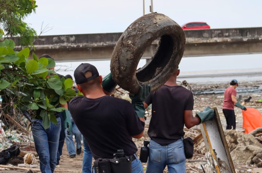  Recolectan más de 700 libras de desechos en playa de Costa del Este