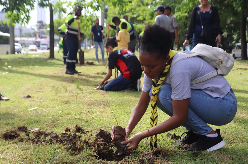  Alcaldía de Panamá y Junta Comunal de Ancón realizan jornada de reforestación