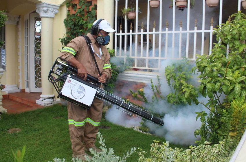  Minsa pide eliminar criaderos de mosquitos para prevenir casos de dengue