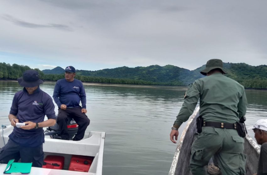  Aprehenden a ciudadanos que talaban ilegalmente en Bahía de Chame