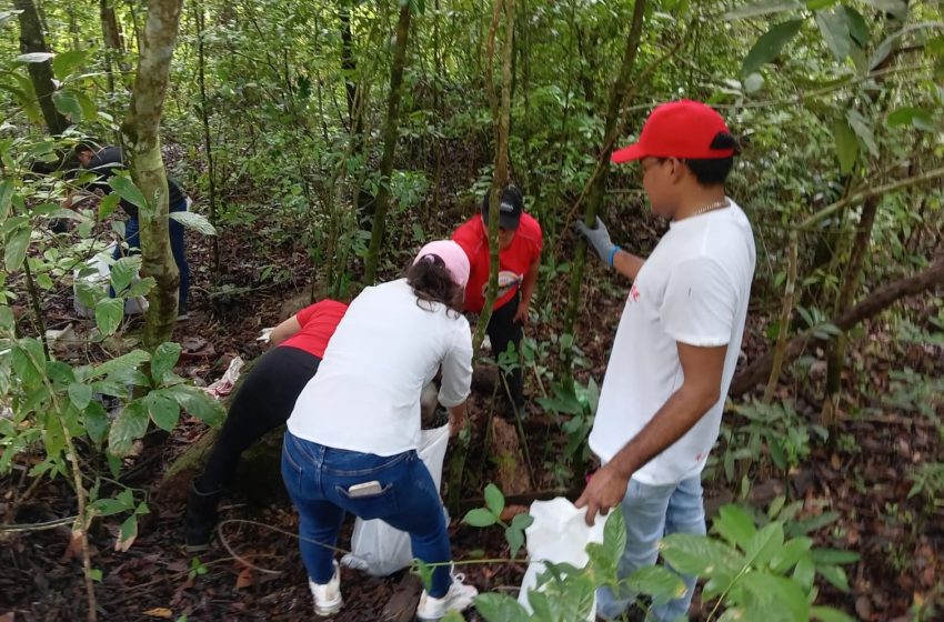  Realizan operativo de limpieza en el Parque Nacional y Reserva Biológica Altos de Campana