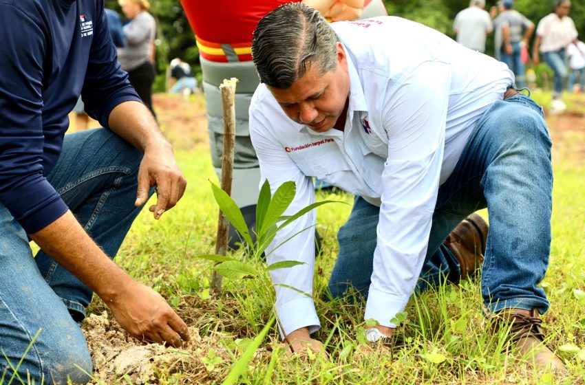  PANAMÁ PACÍFICO Inicia Nueva Etapa de Sostenibilidad con la Siembra de 400 plantones