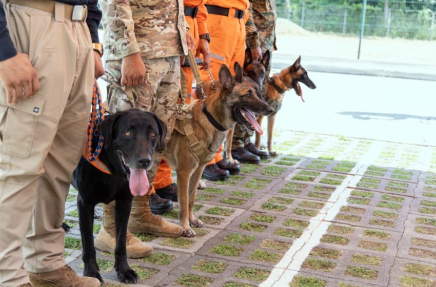  Sinaproc gradúa guías y manejadores caninos