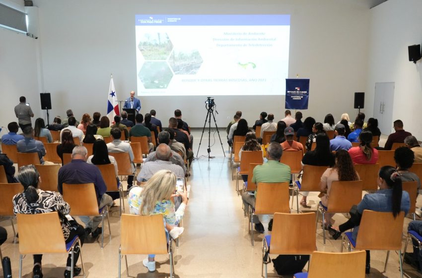  Panamá pierde 352 mil hectáreas de bosques: Un llamado urgente para frenar la deforestación