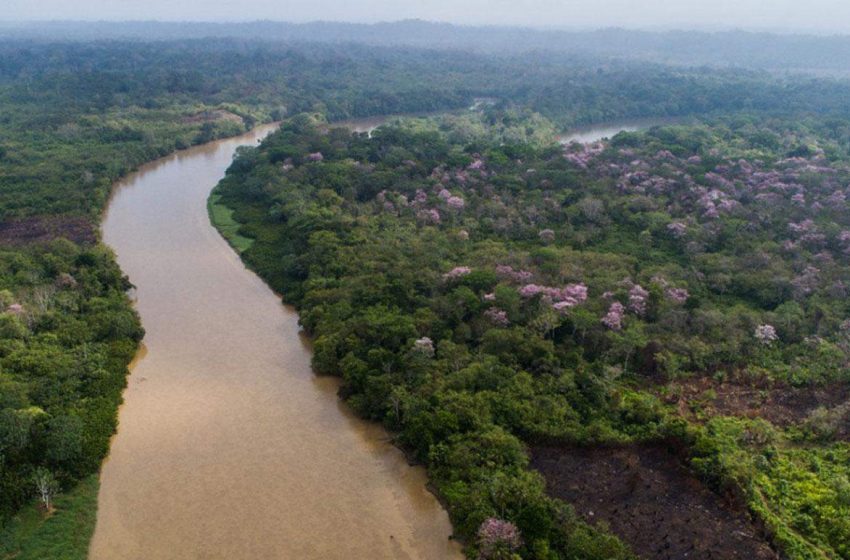  Ministro Navarro solicita a la Comisión de Ambiente retirar anteproyecto sobre el Parque Nacional Darién