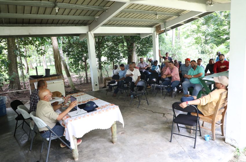  MiAMBIENTE y actores del sector forestal de Darién y Panamá Este, unen fuerzas para fortalecer el sector forestales