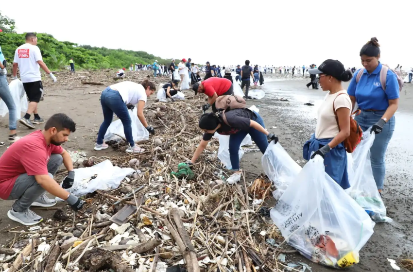  Convocan a jornada de limpieza de playa en Costa del Este