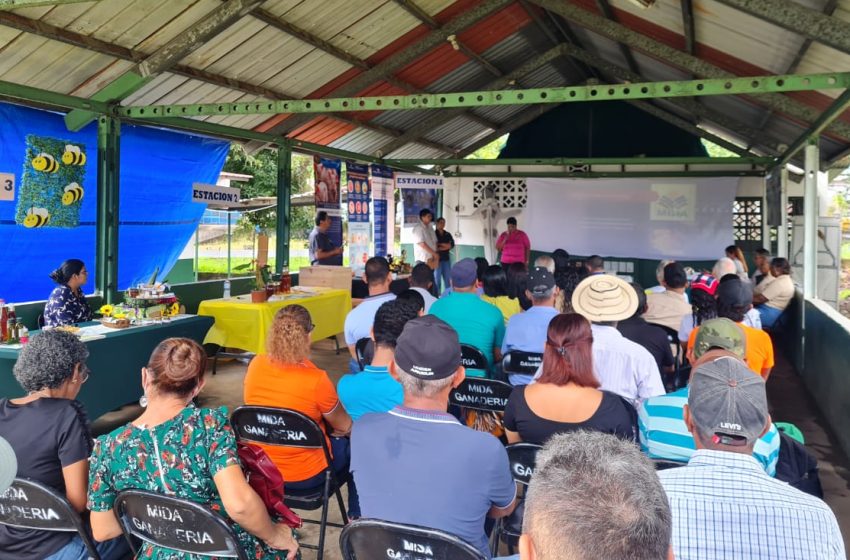  Productores de miel de Panamá Este, apuntando a la excelencia