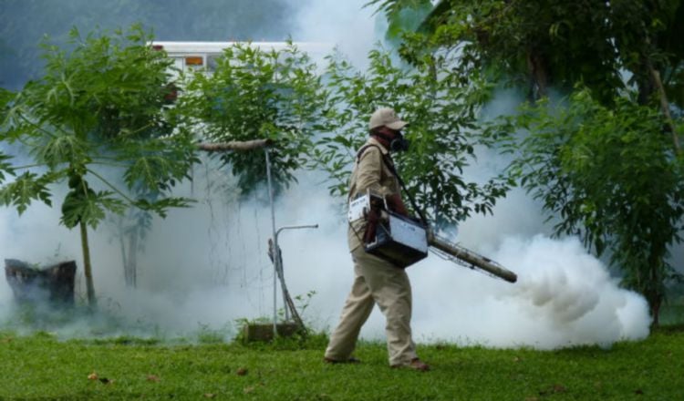  Panamá acumula más de 18 mil casos de dengue a nivel nacional