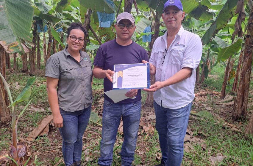  Productor bocatoreño recibe primer certificado del programa de buenas prácticas y trazabilidad agrícola