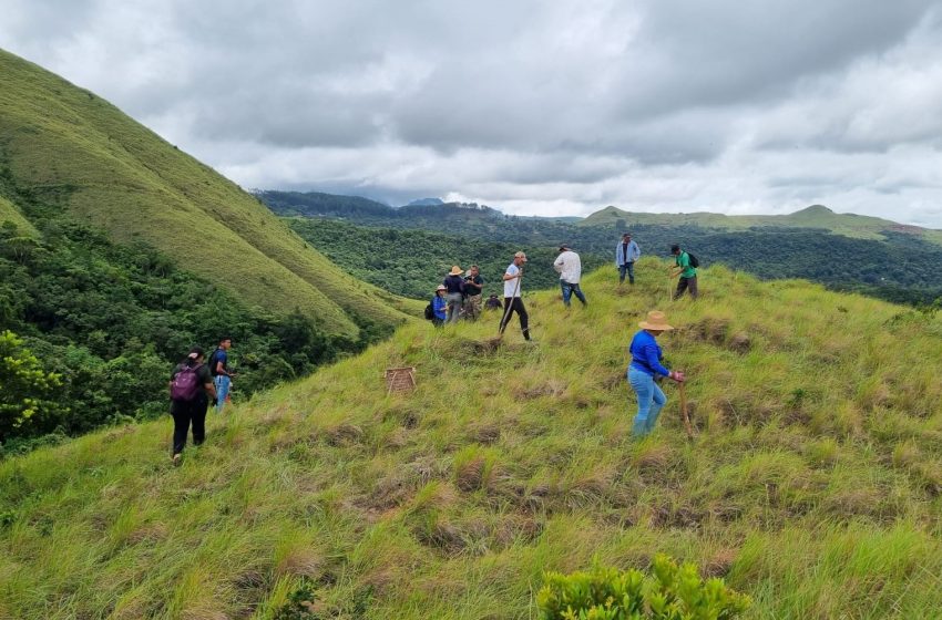  Realizan jornada de reforestación de tomas de agua en San Carlos