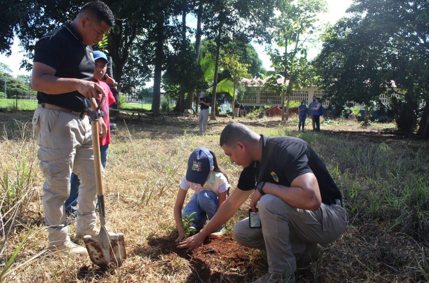  Migración realiza jornada de siembra de plantones en chiriquí