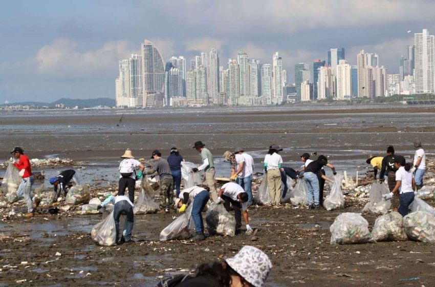  ATP, MiAmbiente y AAUD, organizan gran limpieza de playas en Taboga, Panamá Viejo y Costa del Este