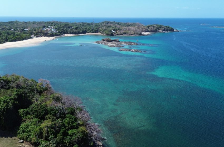  Crean Refugio de Vida Silvestre de Saboga para proteger el patrimonio marino