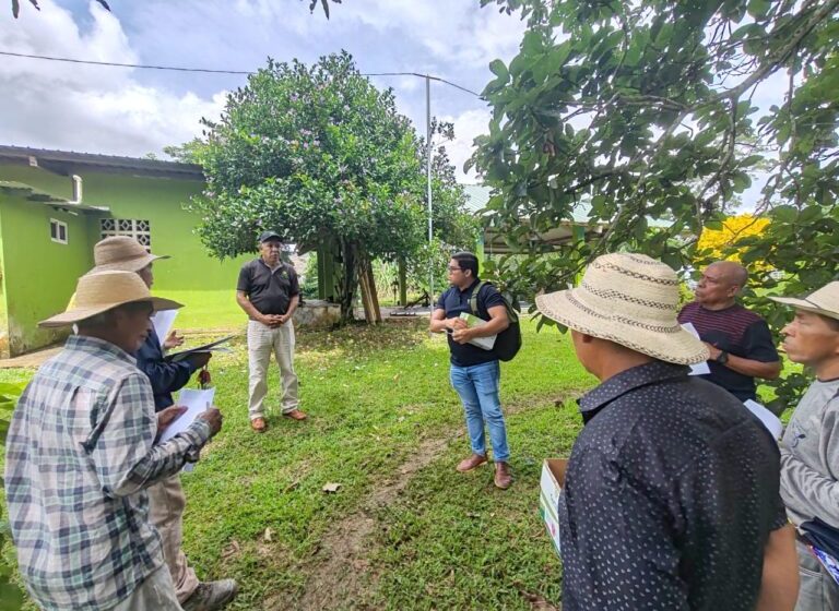  En Panamá Oeste productores se capacitan sobre uso de fertilizantes a base de algas