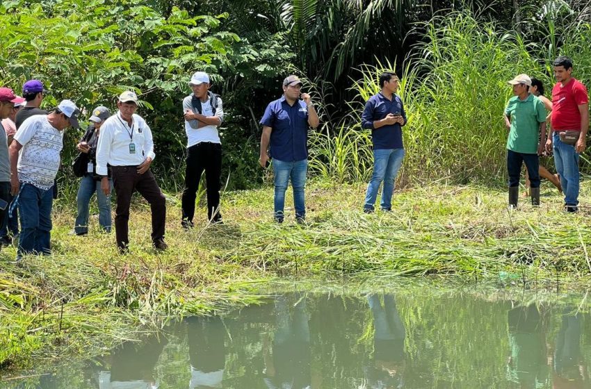  Jóvenes de PRONAJUR, inician proyectos de producción de peces