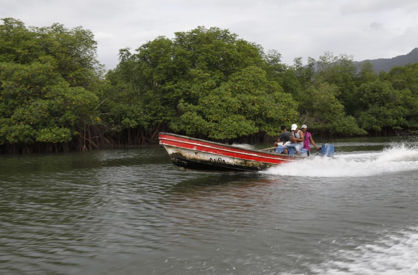  MiAmbiente establece alianza estratégica para restauración de ecosistemas en Panamá