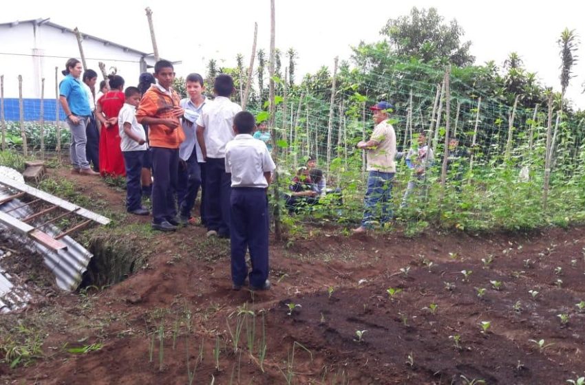  MIDA impulsa reactivación de huerto escolar en Veraguas