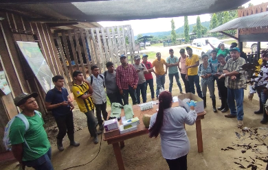  En Bocas del Toro realizan capacitación en salud animal