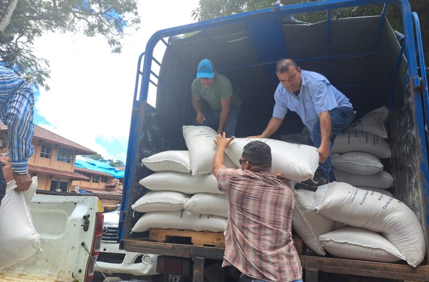  Arroz producido en granjas escolares se distribuirá a comedores de 200 escuelas