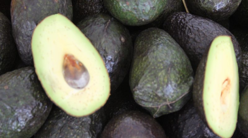  Un Dieta equilibrada y buen manejo del estrés para fortalecer el sistema inmune