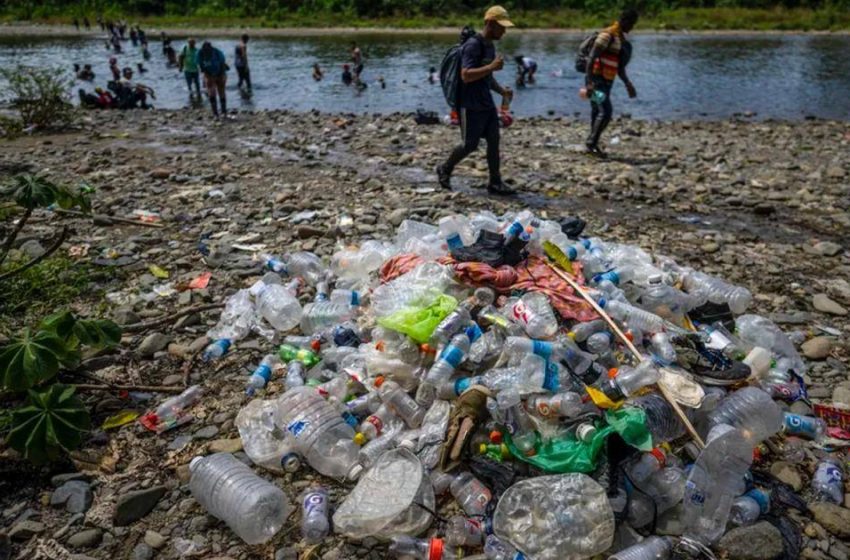  “Migrantes han dejado 2,500 toneladas de basura en la selva de Darién”, alerta el viceministro Icaza