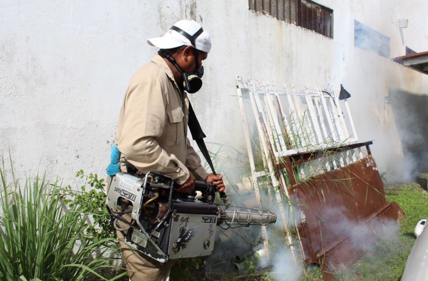  En San Miguelito: Autoridades de salud instan a la población a eliminar los criaderos de mosquito