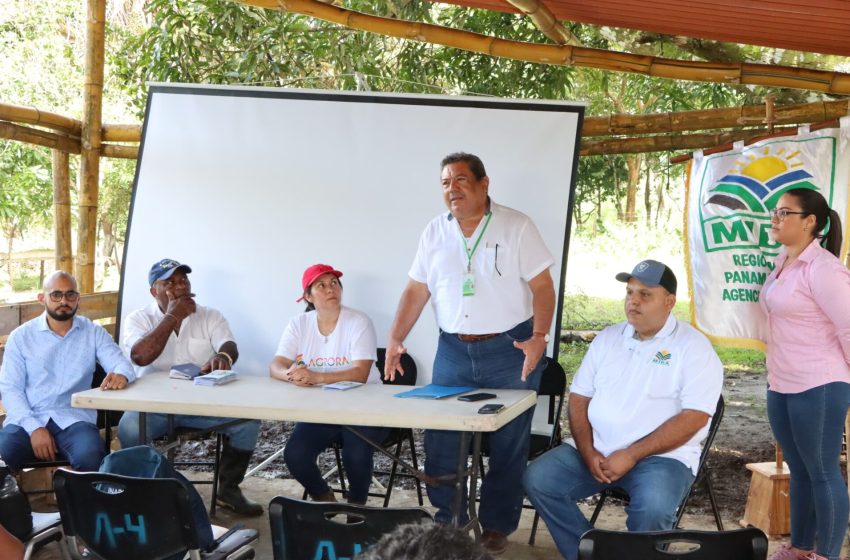  Fortalecen la agricultura orgánica y agroturismo en Panamá Oeste