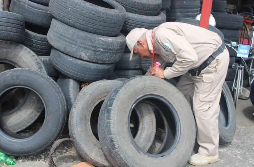  Minsa reporta más de 21 mil casos de dengue acumulados en el país