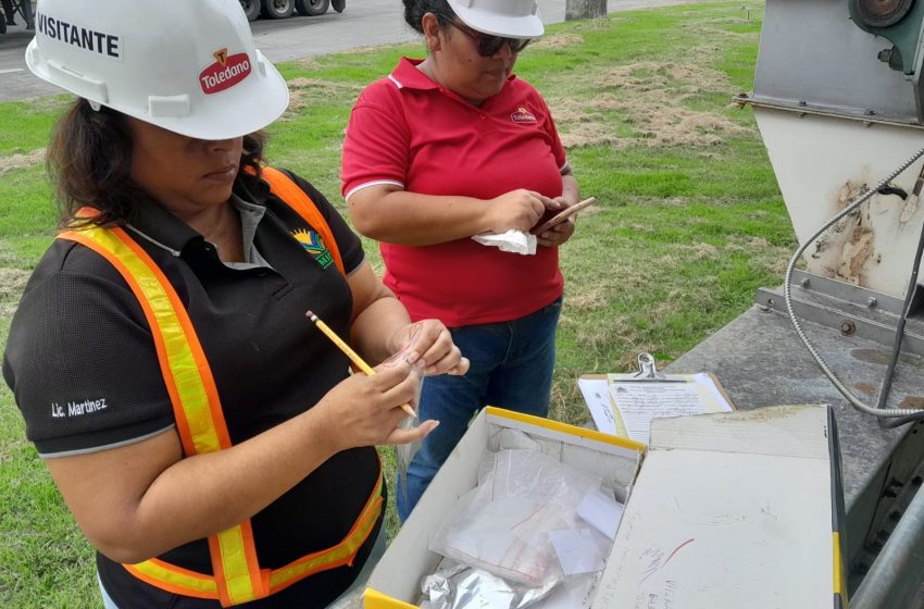  “Panamá se encuentra libre de gorgojo khapra”, asegura el Mida