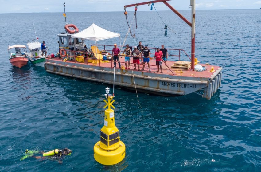  Panamá lidera la región con la instalación de la primera boya oceanográfica para el estudio y conservación de diversidad marina