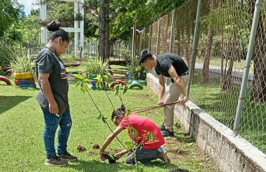  Reforestan Escuela de Llano Bonito en Rio Hato