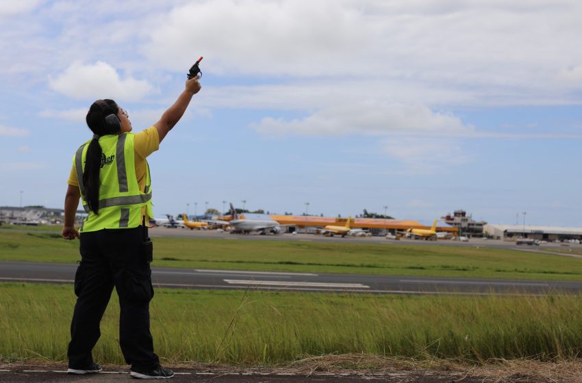  Aeropuerto de Tocumen intensifica monitoreo durante temporada de migración de aves