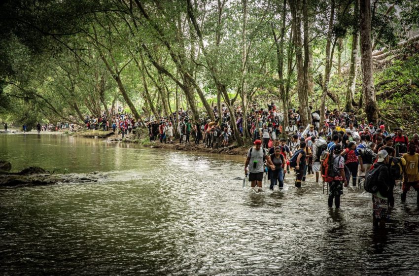  Cifras de migración por la selva del Darién han disminuido un 39% en noviembre