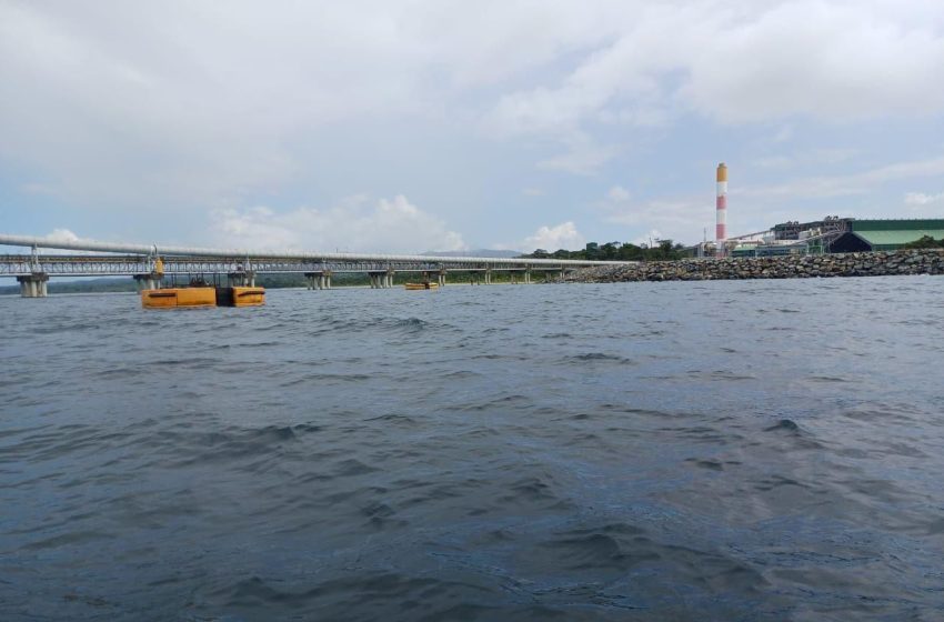  ¡MiAmbiente aclara! Fenómeno natural es la causa de peces muertos en Donoso