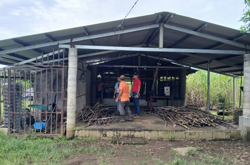  Mida brinda asesoría a la pequeña agroindustria de raspadura en Chiriquí